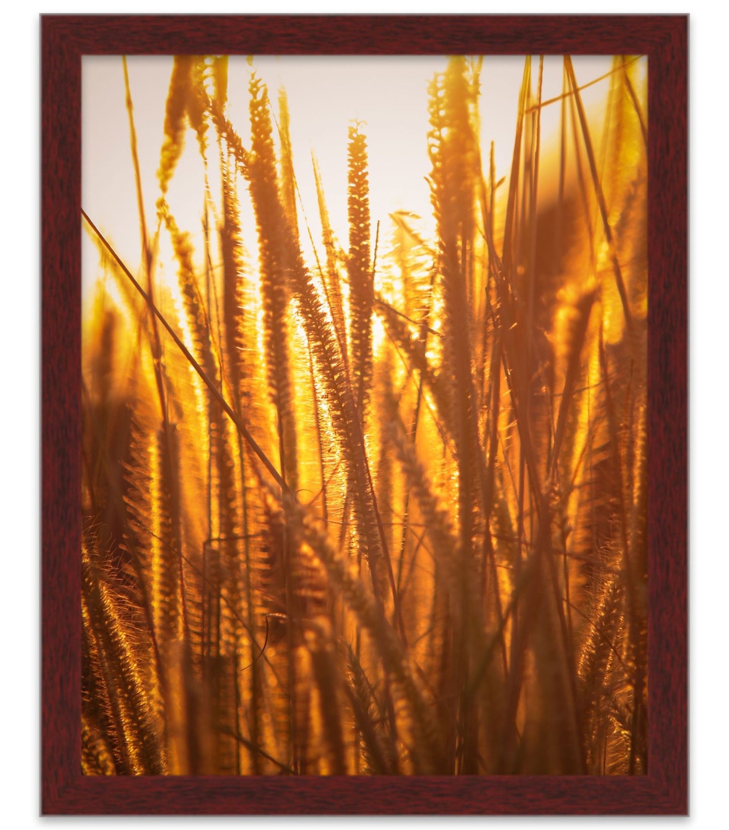 Brown Movie Poster Frame (Style 1) - back and hardware