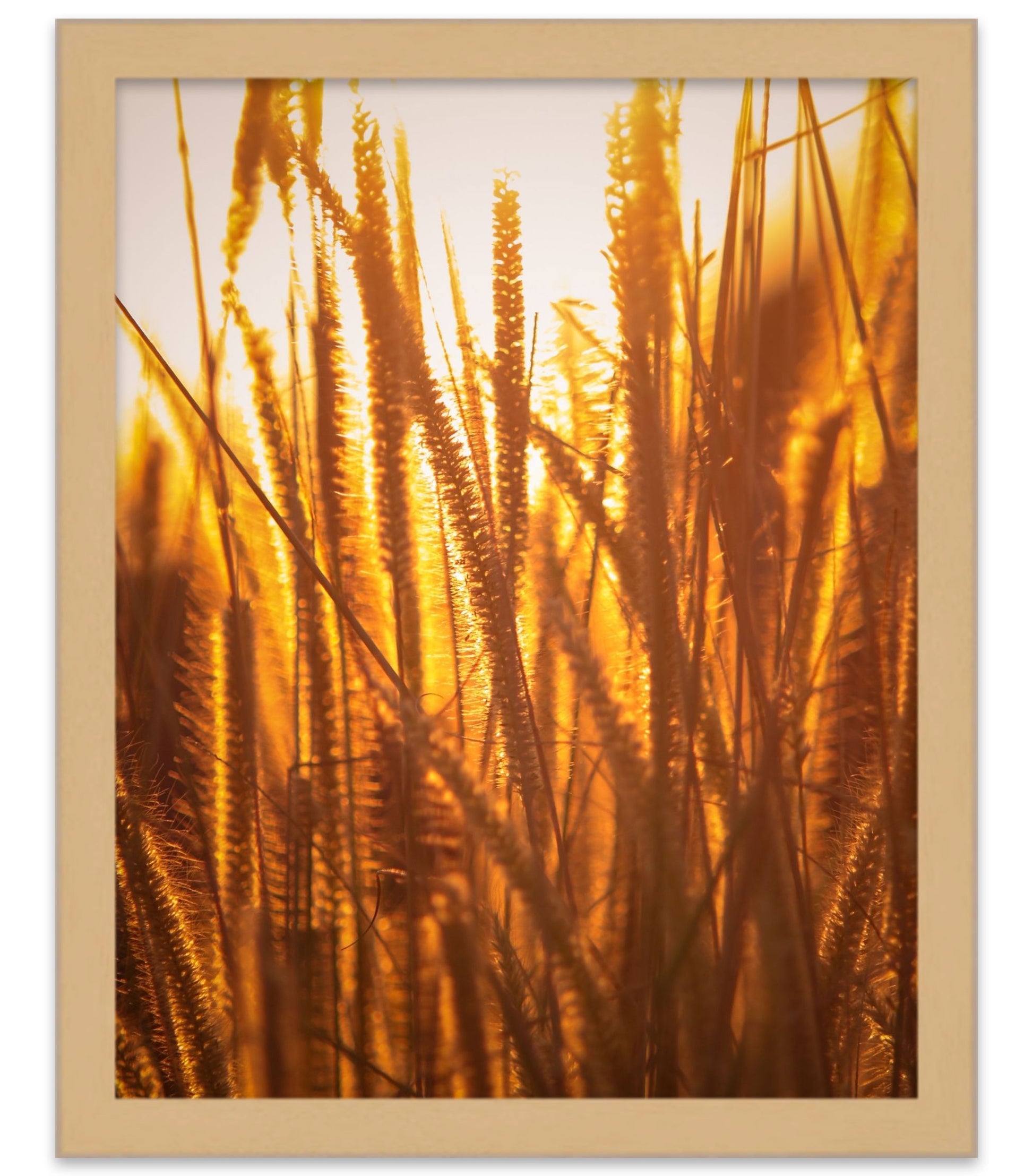 Flat Oak Cork Board Frame - back and hardware