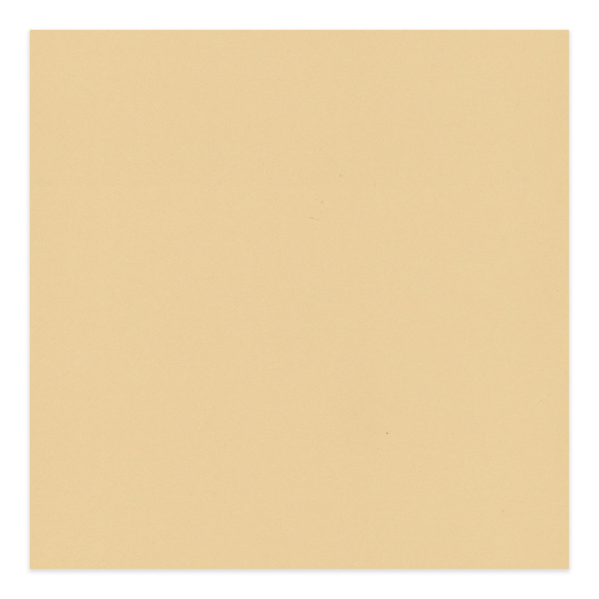 Beige 14x22 Uncut Mat Board