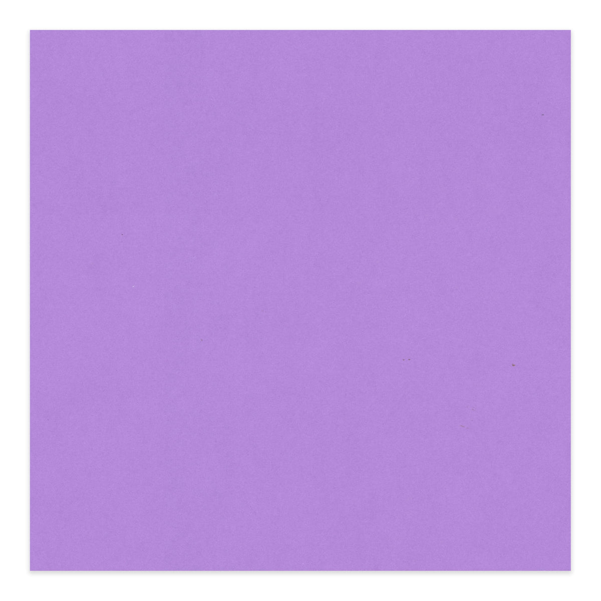 Pansy Purple 9x9 Uncut Mat Board