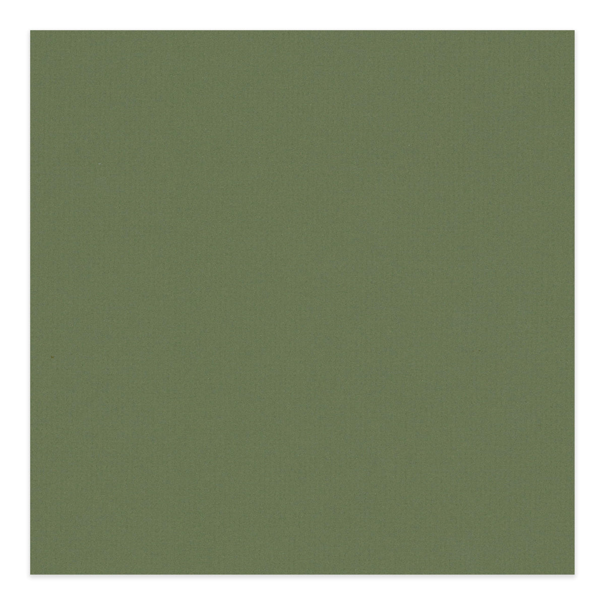 Dill Green 11x14 Uncut Mat Board
