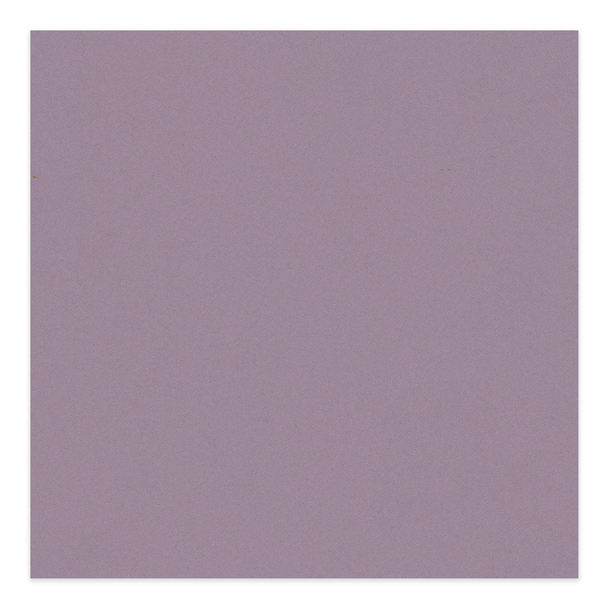 Grape Purple 14x14 Uncut Mat Board