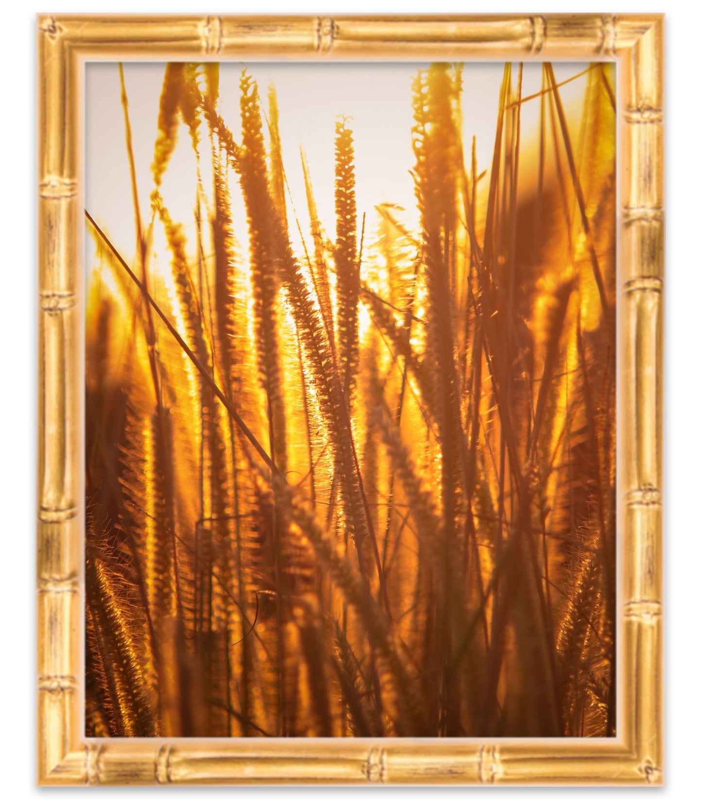 Gold Bamboo Style Cork Board Frame - back and hardware