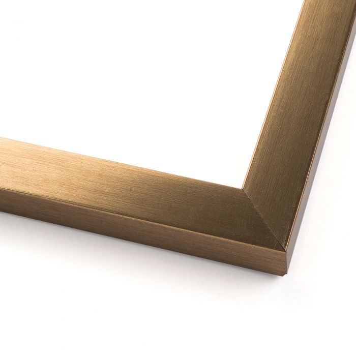 Comic Book Frame Bronze Gold Matted - included components
