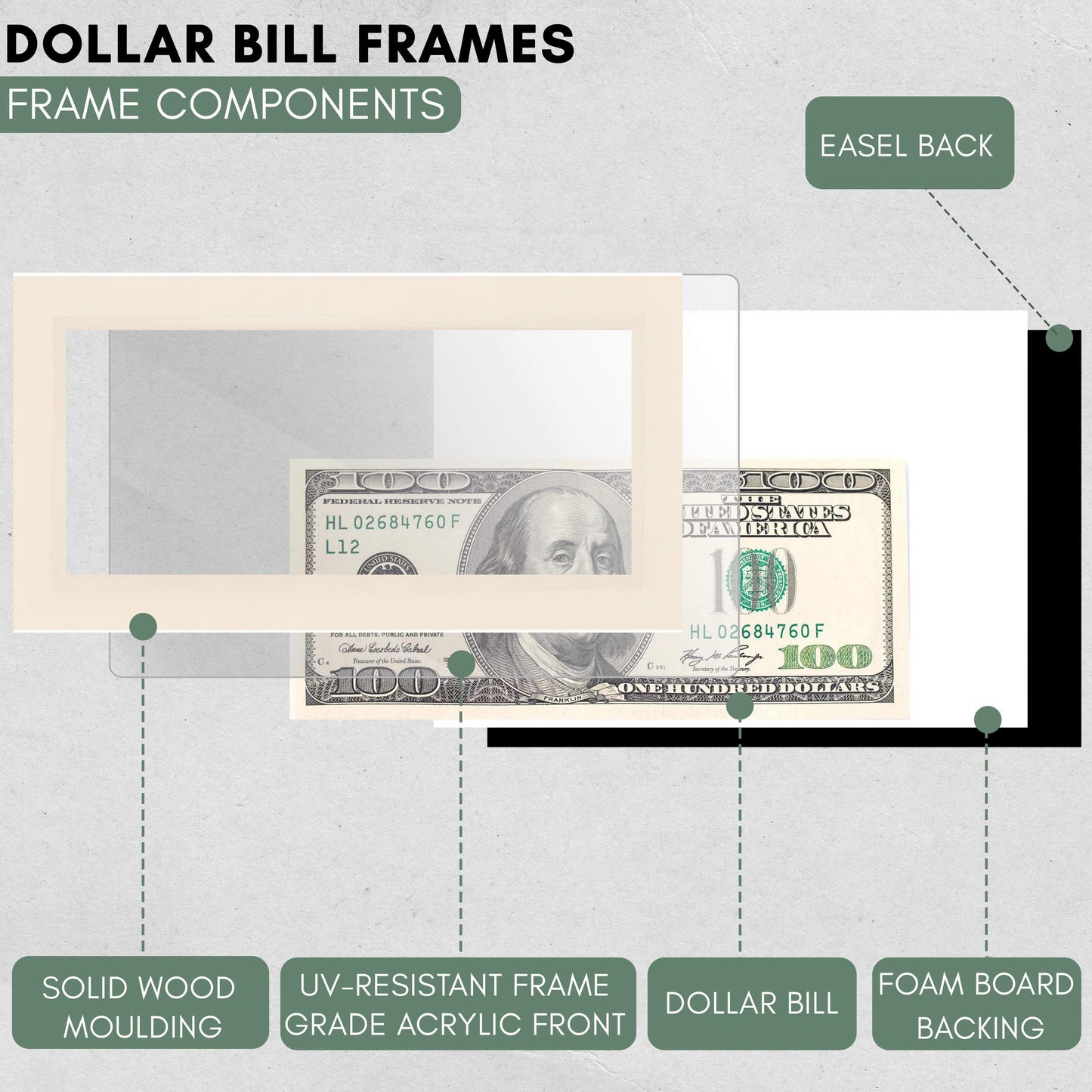 White Washed First Dollar Currency Frame