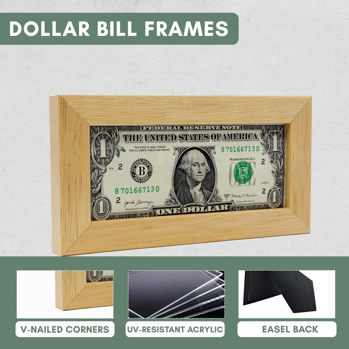 Natural First Dollar Currency Frame - size reference