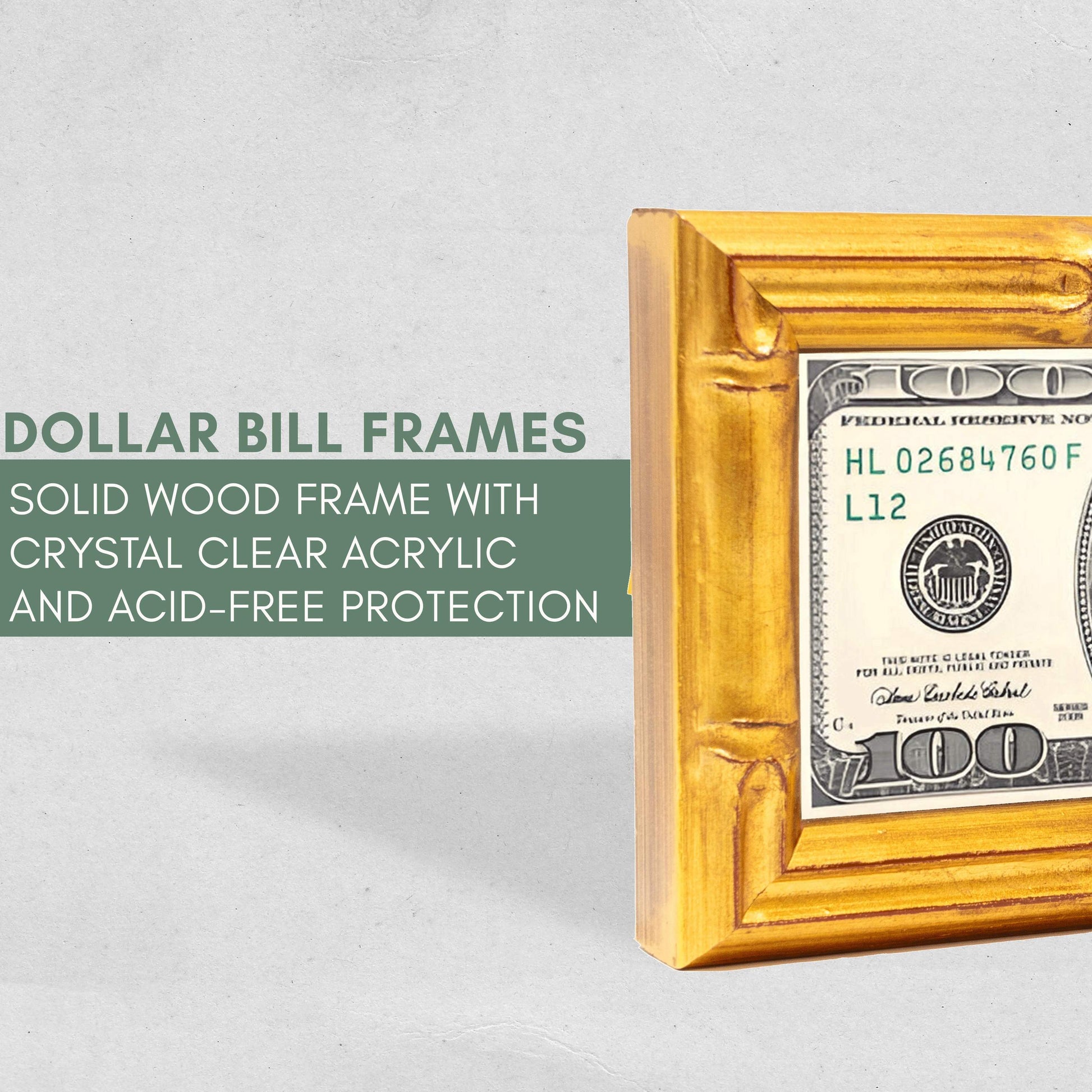 Gold Bamboo First Dollar Currency Frame - back and hardware