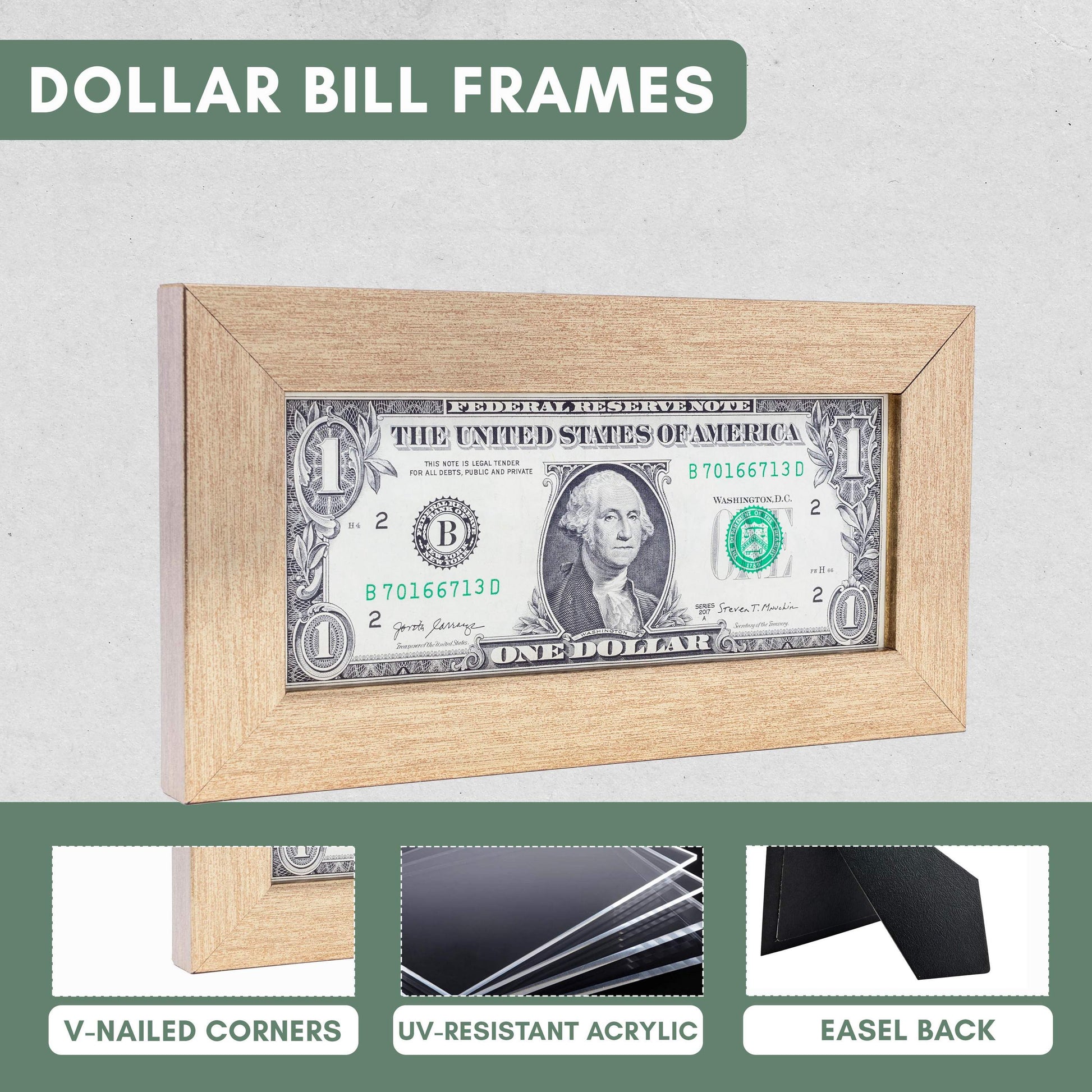 Bronze First Dollar Currency Frame - size reference