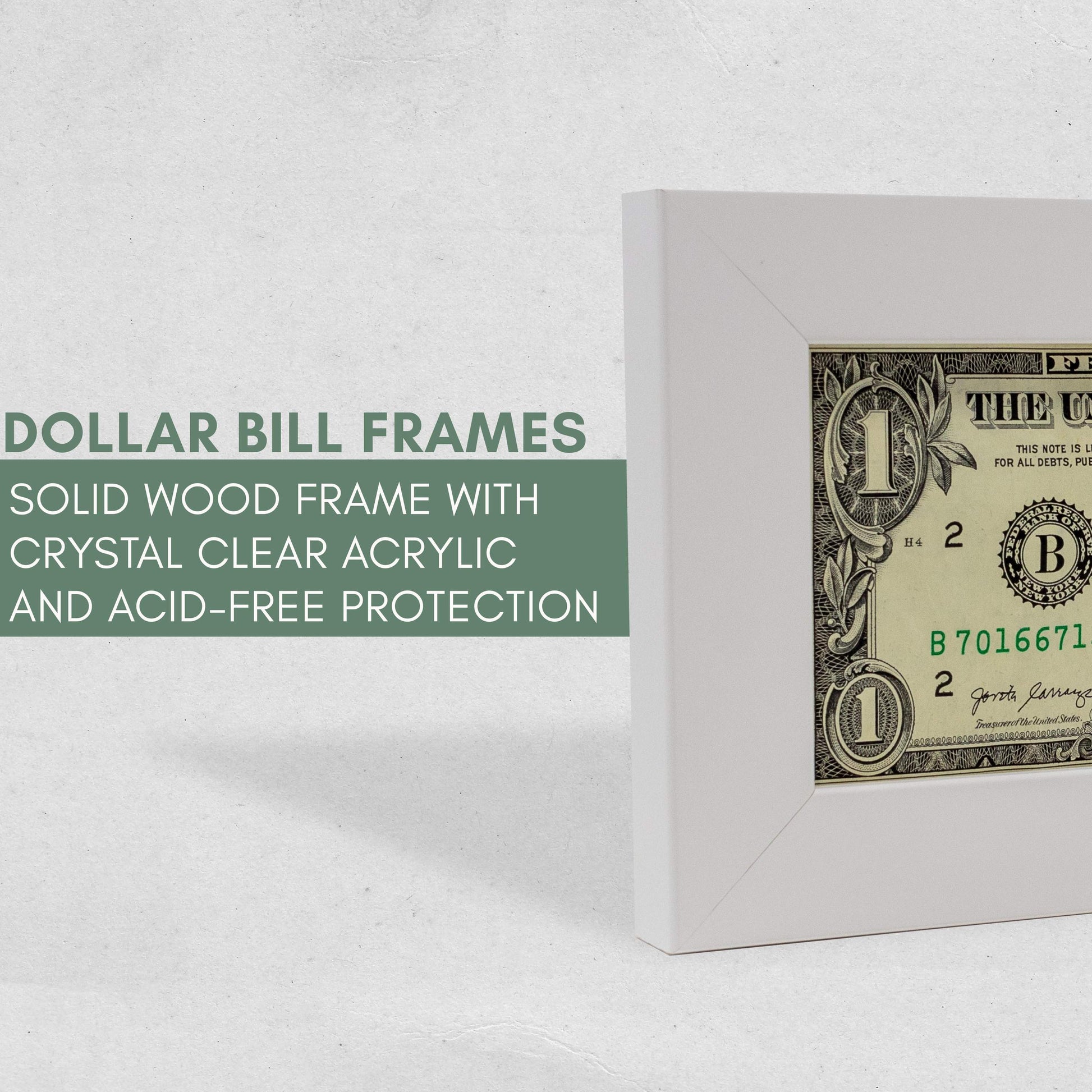 Silver First Dollar Currency Frame - back and hardware
