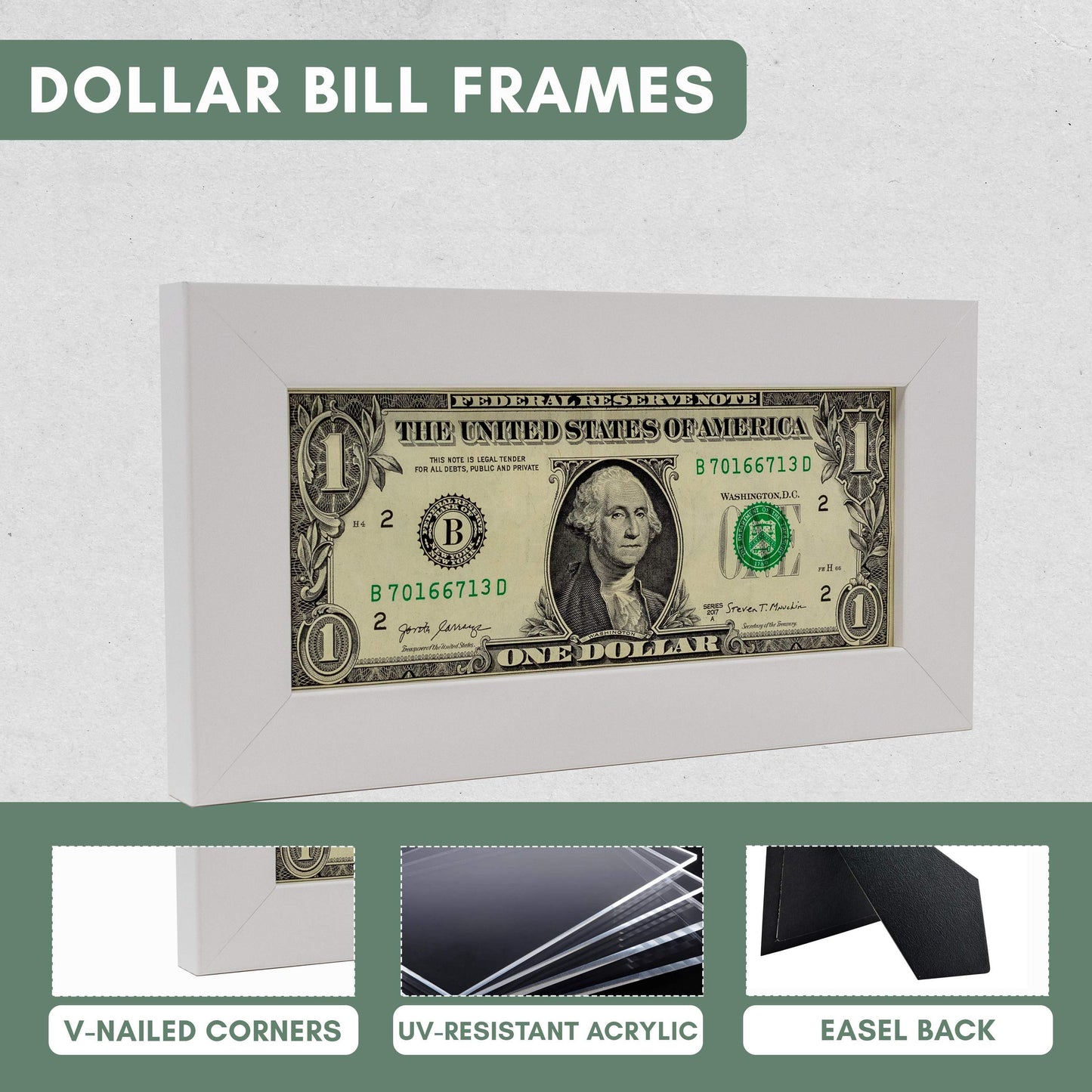 Silver First Dollar Currency Frame - size reference